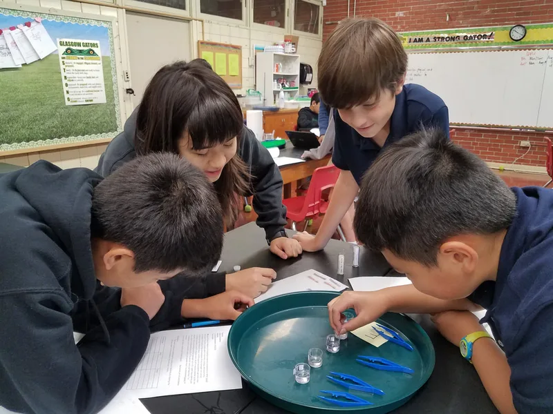 Four students conduct a hands-on science experiment with water, droppers, and tools at a classroom table.