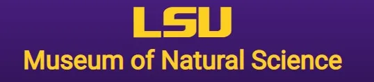 Purple banner with gold “LSU” text and “Museum of Natural Science” below.