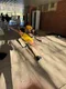 carousel chooser
