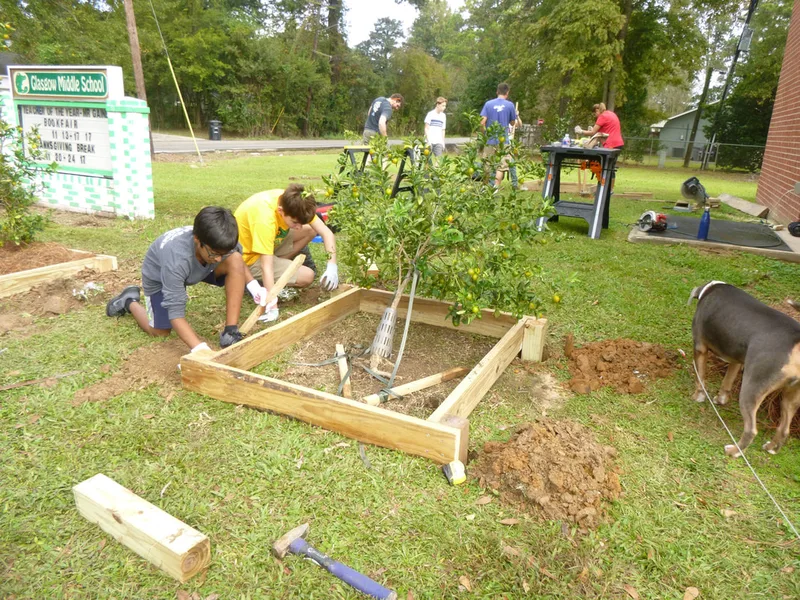 Two students kneeling on the ground, building protective boxes for the school's citrus trees.
