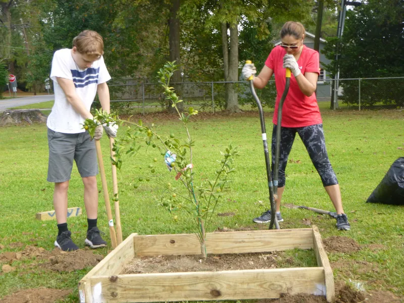 A student and a parent volunteer are using gardening equipment to dig holes in the ground.