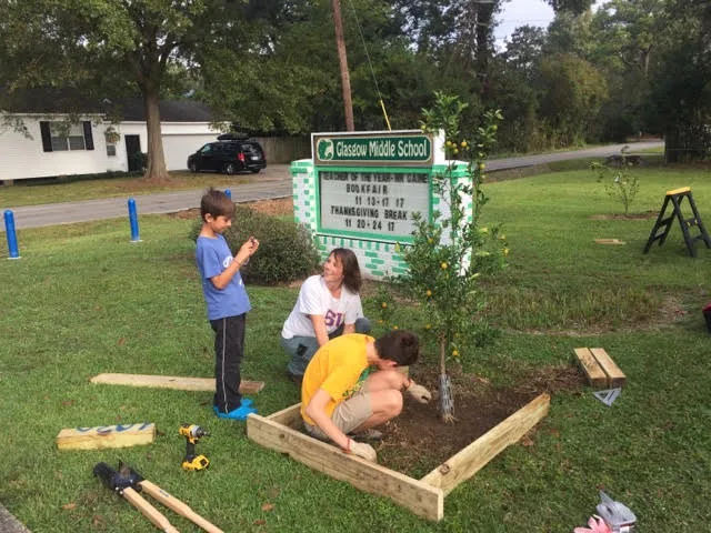 A student, a parent, and a young volunteer are in front of the school, working on a protective box for one of the school's citrus trees.