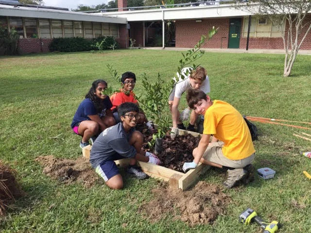 Five students kneeling on the ground, building protective boxes for the school's citrus trees.